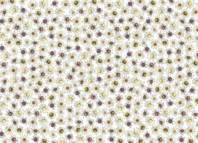 Muster 50 x 50 cm von Flores 3001