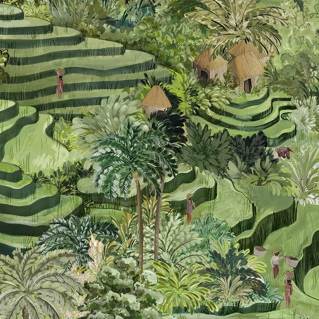 Rice Terrace Grass Green BMTD001/17B