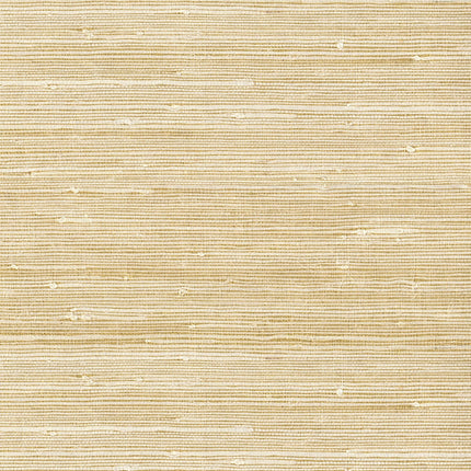 Muster von Natural Wallcoverings III 303535