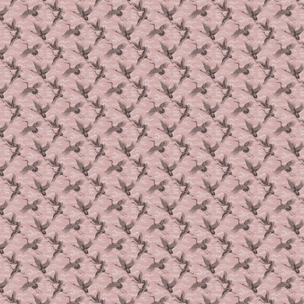 Imperial Ibis B00135