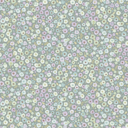 Muster von Explore 323064