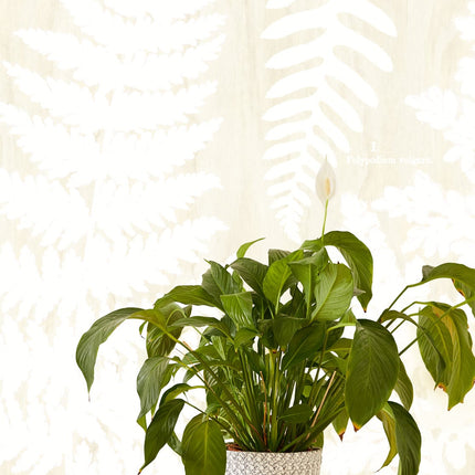 Wallpower Favourites 309019