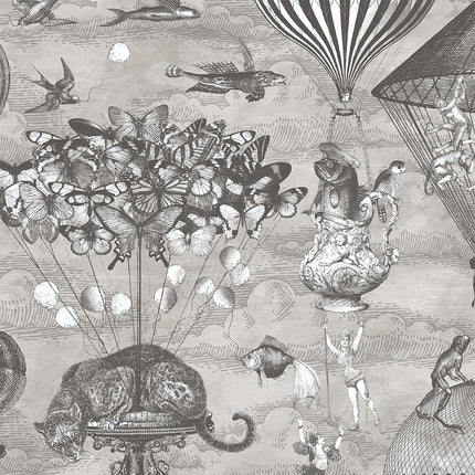 Curious Skies Black & White BMTD001/07A