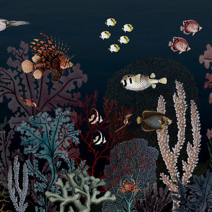 Roaring Reef blue 2023