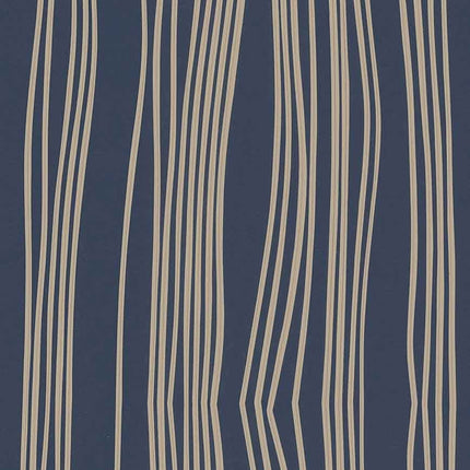 Tectonic Faults A00151