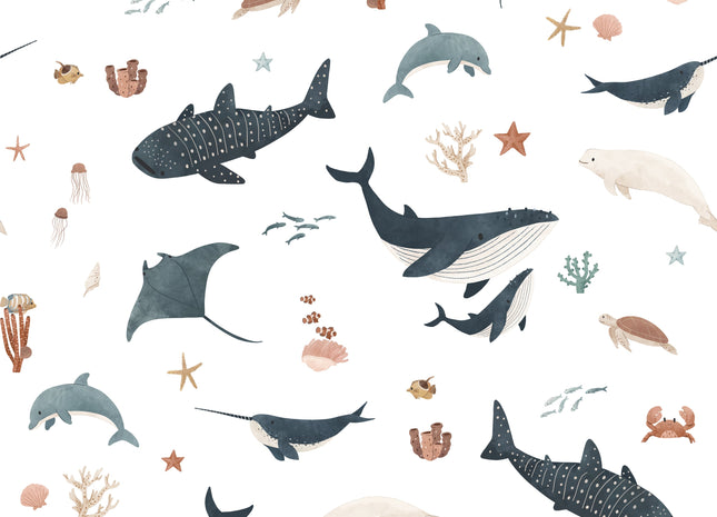 Splendid Sea - White