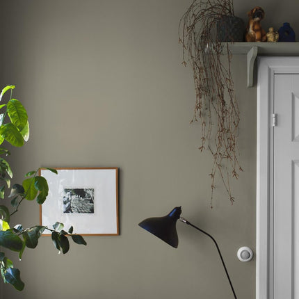 Muster Light Olive 7558