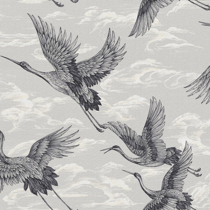 Imperial Ibis B00134