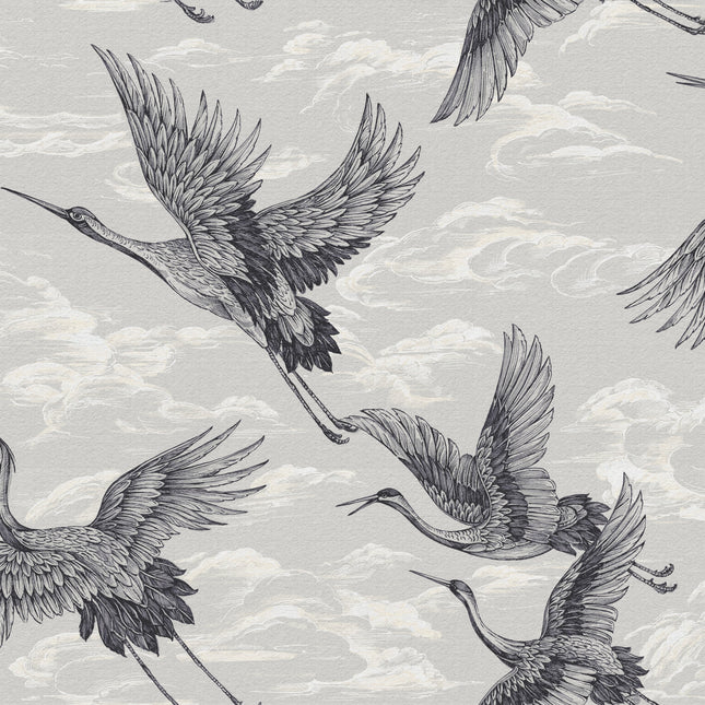 Imperial Ibis B00134