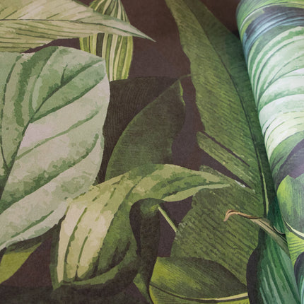 Tropical Forest 18002