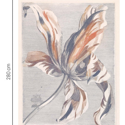 Wallpower Favourites 309031