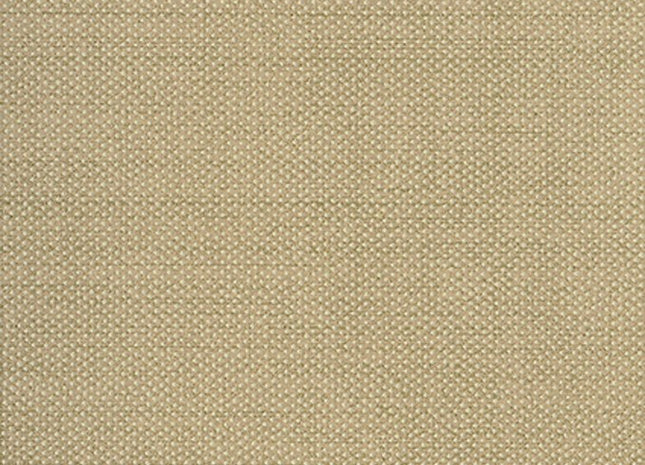 Dixie Pampas GAT604