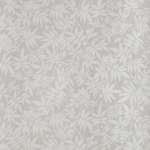 Jasmine 5051836570217