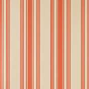 Tented Stripe 5029496215113