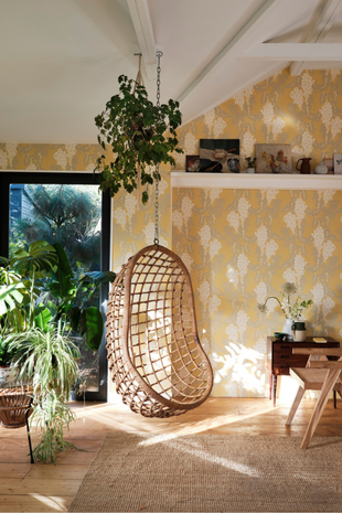 Wisteria 5051836521219