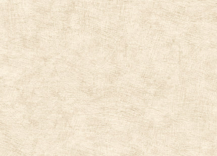 Pampas Plain HE27203