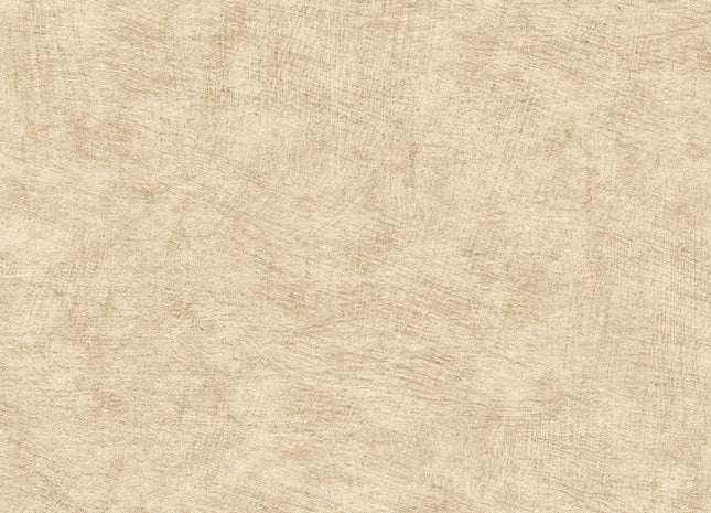 Pampas Plain HE27204