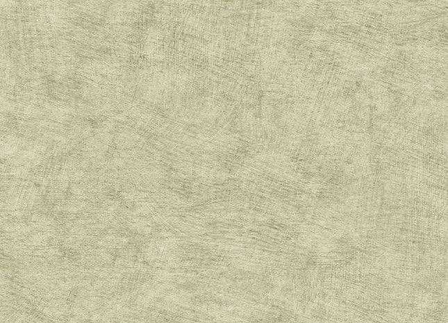 Pampas Plain HE27205