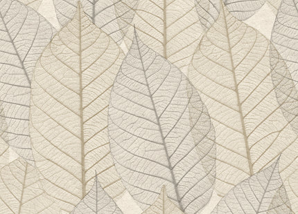 Leaves Veins HE27250