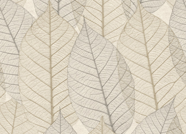 Leaves Veins HE27250