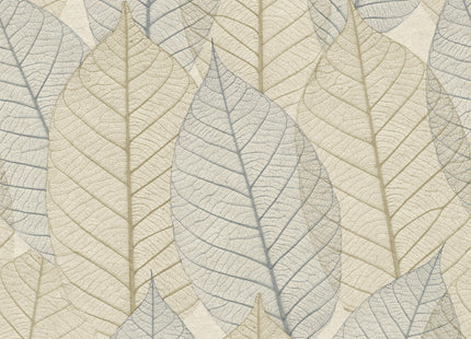 Leaves Veins HE27251