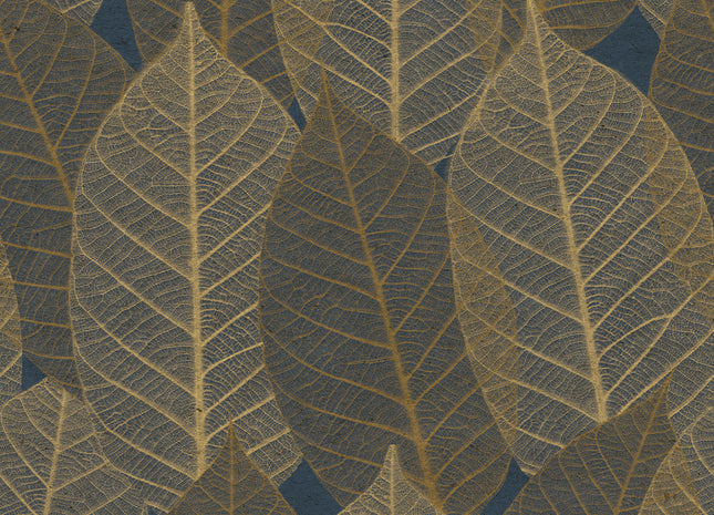 Leaves Veins HE27252