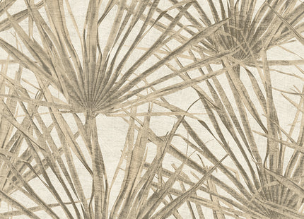 Palm HE27260