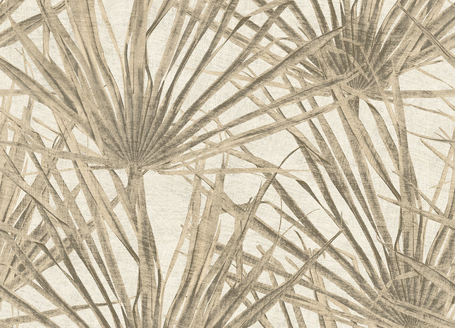 Palm HE27260
