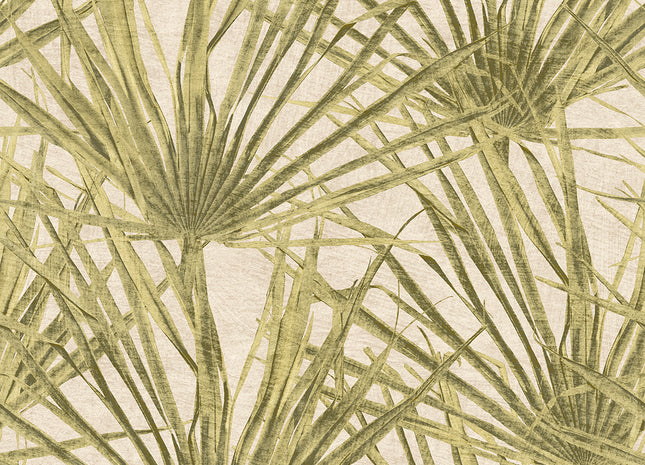 Palm HE27261