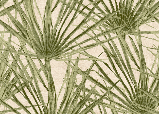 Palm HE27262