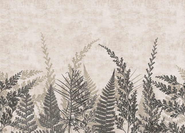 Mural Fern HED27292