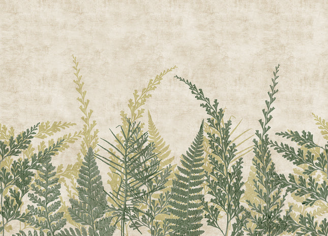 Mural Fern HED27293