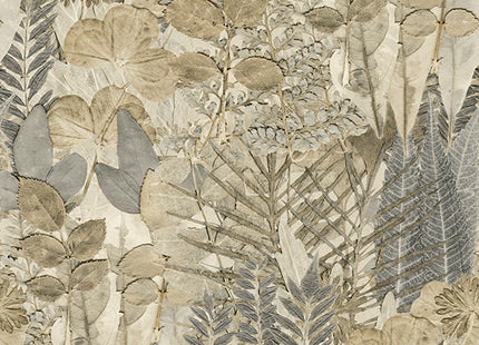 Mural Herbarium HED27294