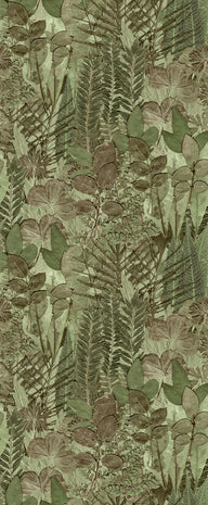 Mural Herbarium HED27295