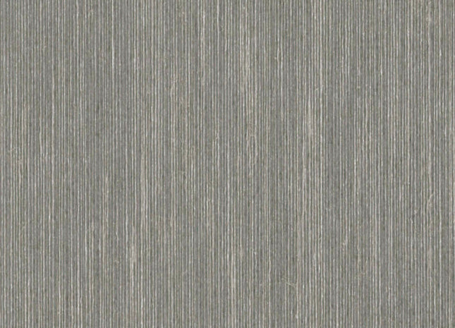 Horizons HOR4004