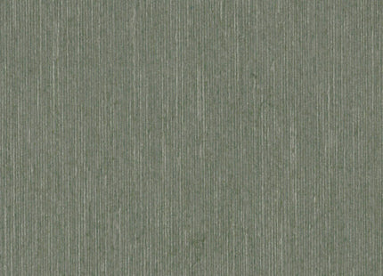 Horizons HOR4007