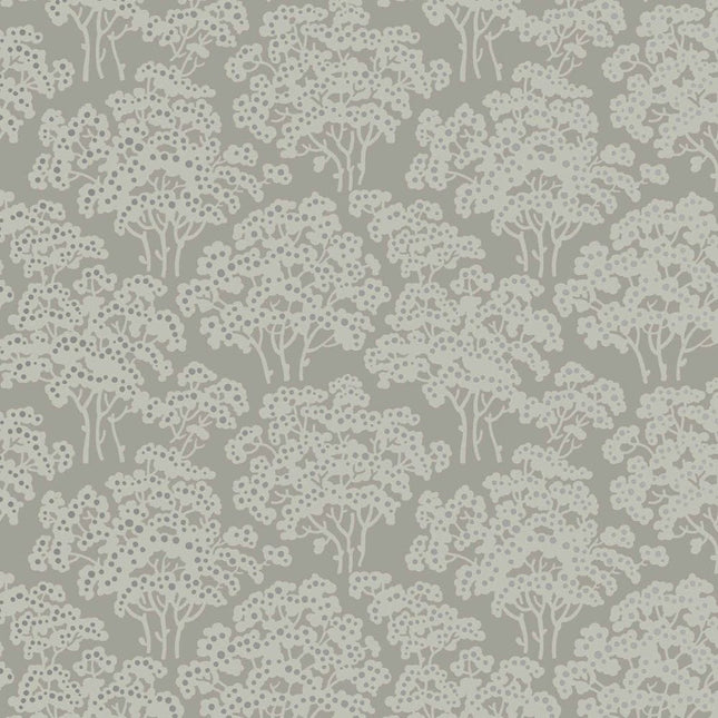 Muster von Hornbeam 50-03