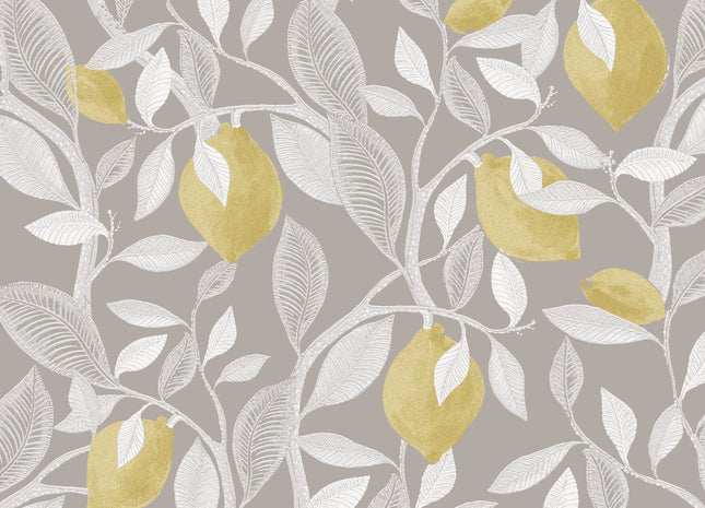 Limone Silver ILA103