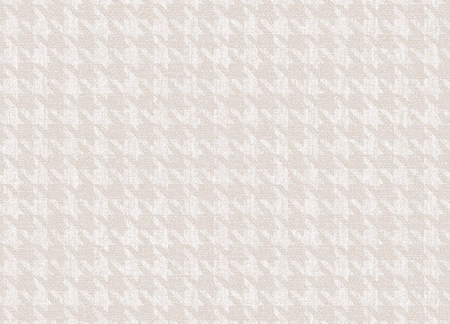 Gigi Star ILA504
