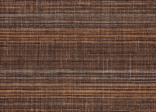 Intuition INT313