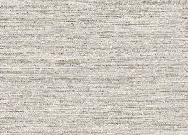 Intuition INT511