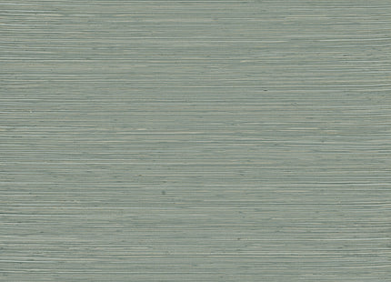 Intuition INT512