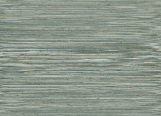 Intuition INT512