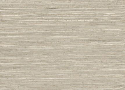 Intuition INT515