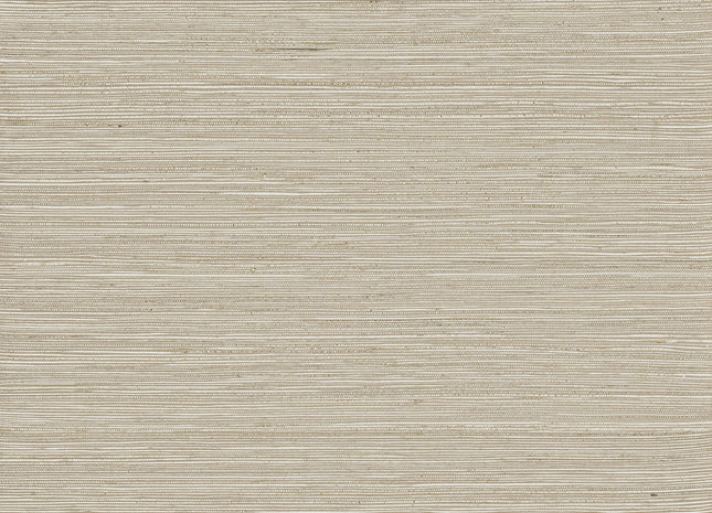 Intuition INT515