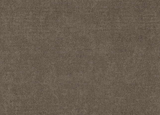 Nomad NOA2226