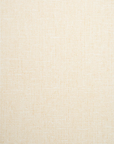 Lino 2618.54