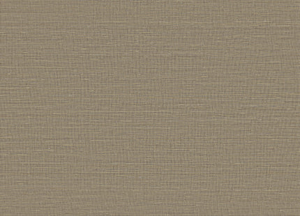 Loom Stories LS404