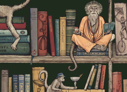 Monkey Library BMCF003/08C