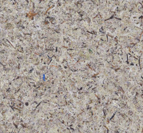 MOUS GRAU MOSGRA0085FVPRW